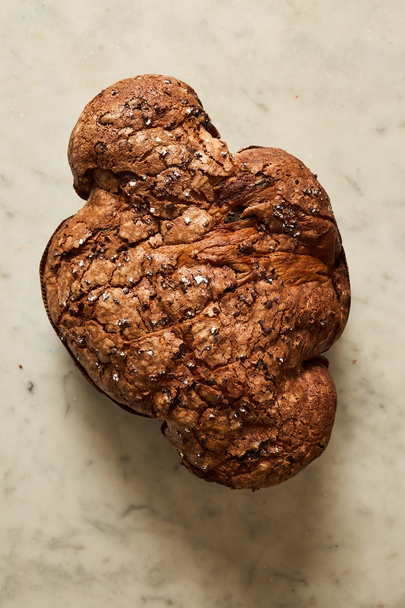 Colomba al Cioccolato